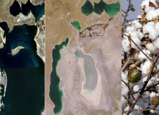 Plantação de algodão fez o Mar de Aral virar um grande deserto
