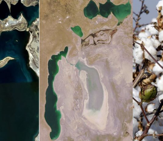 Plantação de algodão fez o Mar de Aral virar um grande deserto