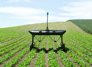 Robôs inteligentes que matam ervas daninhas usam 20 vezes menos herbicida na agricultura