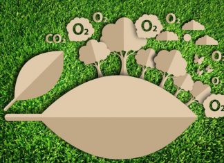 O aumento do CO2 é um enorme benefício para a vida na Terra