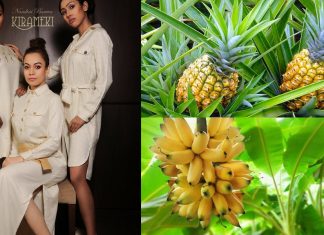 Tecidos feitos de bananeira e abacaxi, são a matéria prima da estilista Nandini Baruva