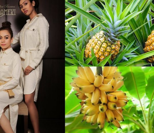 Tecidos feitos de bananeira e abacaxi, são a matéria prima da estilista Nandini Baruva