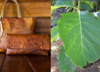 Conheça o novo material vegano feito de folhas de teca