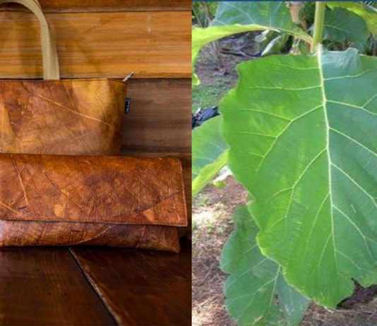 Conheça o novo material vegano feito de folhas de teca