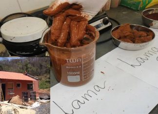 Pesquisa da UFMG mostra que é possível acabar com as barragens transformando rejeitos de minério em casas e estradas