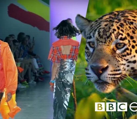 BBC Earth lança projeto de moda sustentável #SustainableMe