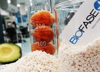 Startup mexicana Biofase cria plástico biodegradável do caroço de abacate