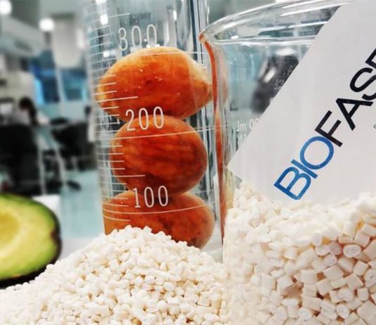 Startup mexicana Biofase cria plástico biodegradável do caroço de abacate