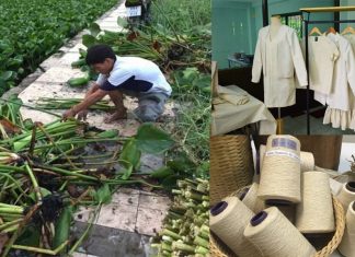 Moda aquática: Tailândia desenvolve roupas feitas com fibras de aguapé