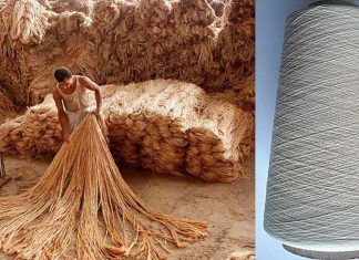 Bangladesh pretende produzir viscose da juta como substituto do algodão
