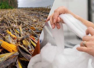 De resíduos agrícolas a fibras têxteis, a inovação em tecidos sustentáveis