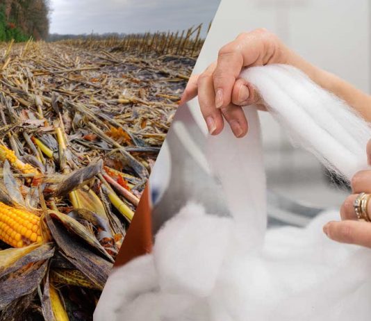 De resíduos agrícolas a fibras têxteis, a inovação em tecidos sustentáveis