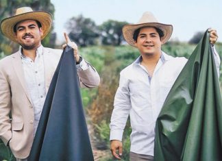Inventores mexicanos criam material alternativo ao couro feito de cacto Nopal