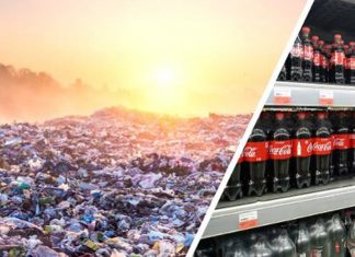 Coca-Cola foi nomeada a marca mais poluidora do mundo em resíduos plásticos
