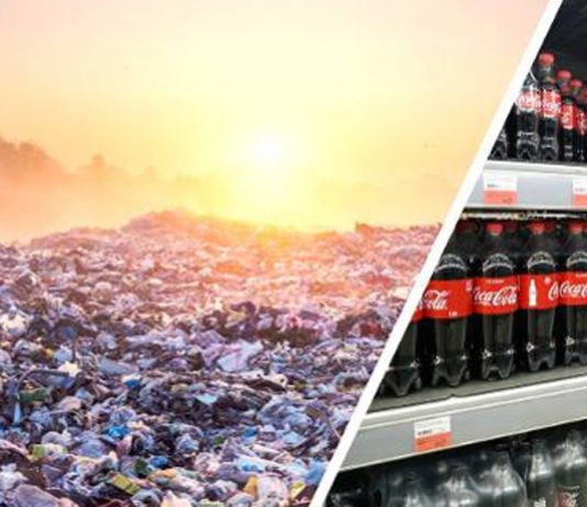 Coca-Cola foi nomeada a marca mais poluidora do mundo em resíduos plásticos