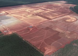 Minas será sede da maior fábrica de celulose solúvel do mundo
