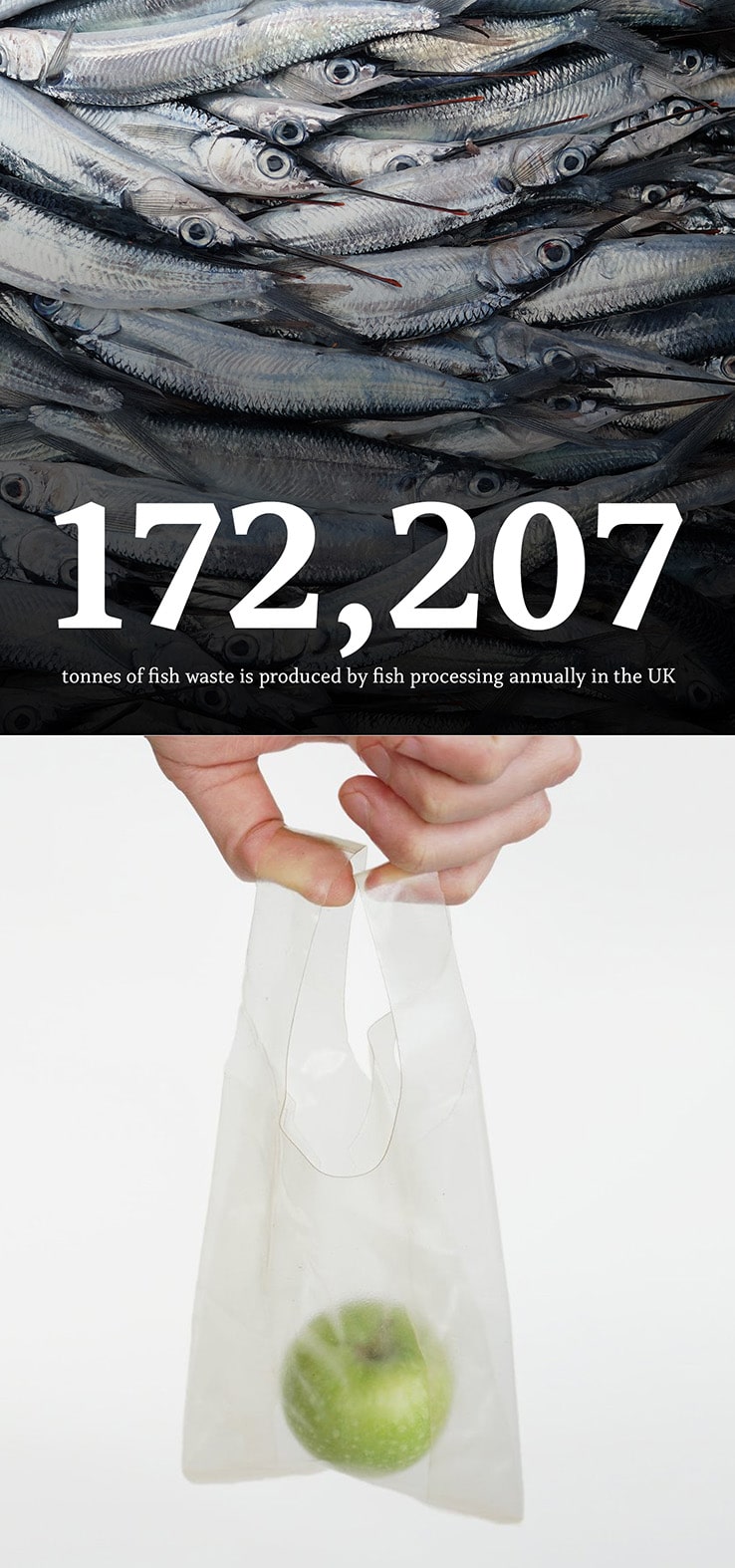 Designer britânica cria MarinaTex, um bioplástico feito dos resíduos de peixe 