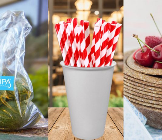 Reduzir, reutilizar, reciclar plástico não é suficiente – Inove!