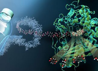 Reciclagem enzimática – Cientistas criam enzima que decompõe plástico em matéria-prima