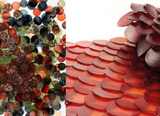 Carolyn Raff desenvolve biomateriais para moda feitos de algas