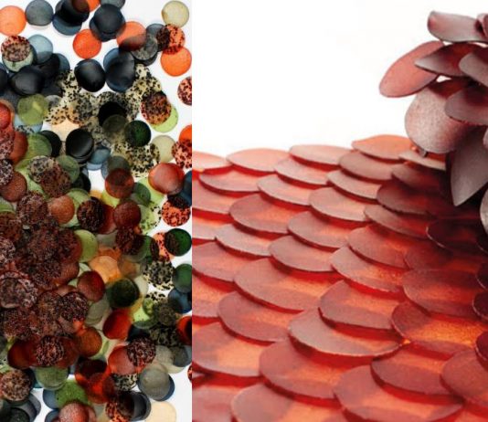 Carolyn Raff desenvolve biomateriais para moda feitos de algas
