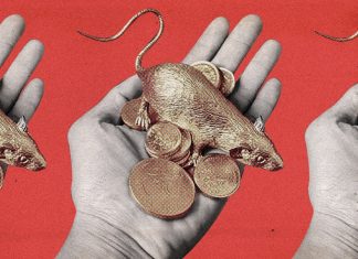 2020, o ano do rato de metal que traz calamidade para a China a cada 60 anos