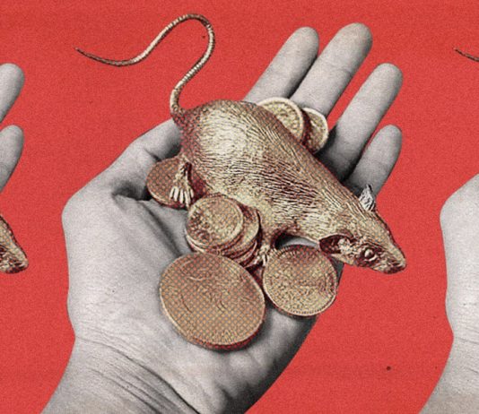 2020, o ano do rato de metal que traz calamidade para a China a cada 60 anos