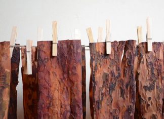 PineSkins é um novo material flexível e suave feito de casca de pinheiro