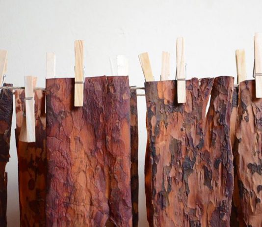 PineSkins é um novo material flexível e suave feito de casca de pinheiro
