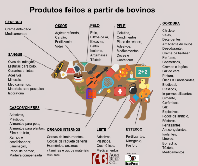 O que mais obtemos dos bovinos além da carne e do leite?