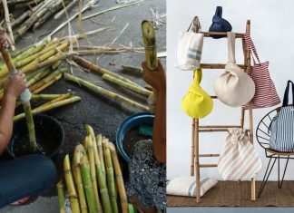 Kanya, uma marca de acessórios ecológicos feitos com resíduos da cana-de-açúcar