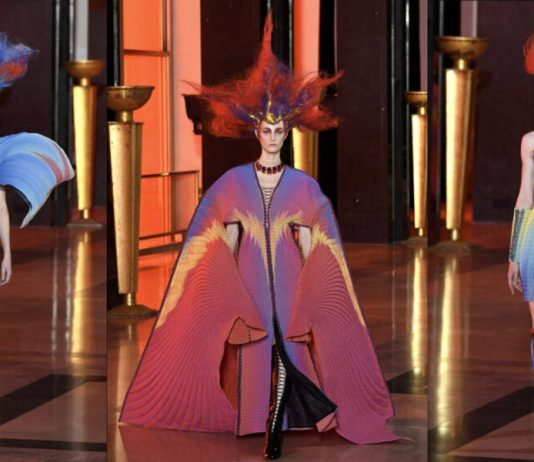 Biomimética na moda: roupas inspiradas na natureza