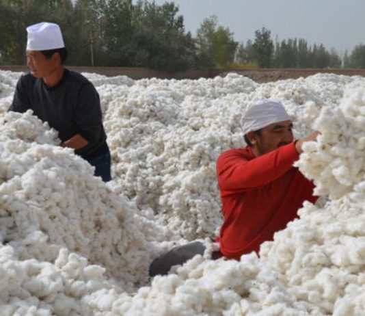 Marcas internacionais devem cortar fornecedores implicados no trabalho forçado do povo uigur na China