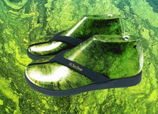 Como um laboratório está transformando algas em bioplástico para chinelos