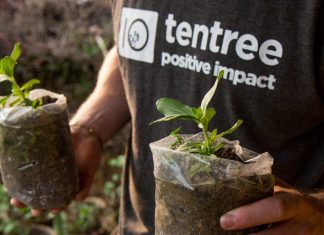 O que a moda pode aprender com a marca Tentree que planta 10 árvores a cada produto vendido