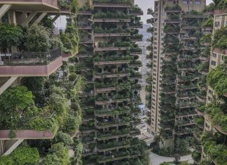Mosquitos invadem complexo de apartamentos chinês transformado em “floresta vertical”