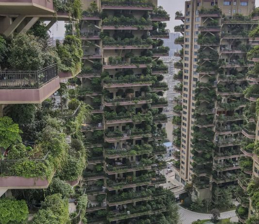 Mosquitos invadem complexo de apartamentos chinês transformado em “floresta vertical”