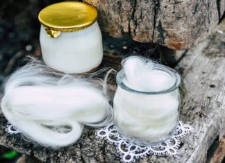 Projeto Milkfibre pretende utilizar a fibra do leite nas indústrias têxtil, alimentar e na saúde