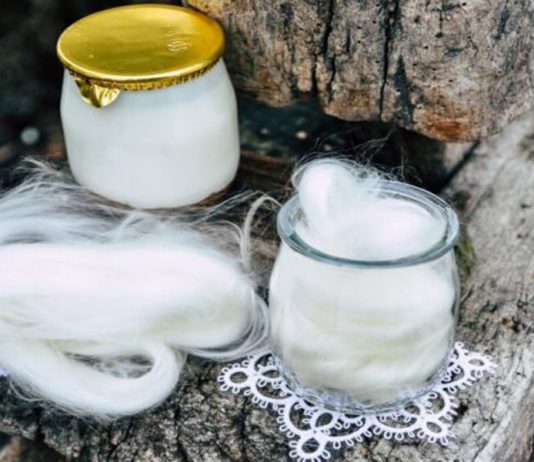 Projeto Milkfibre pretende utilizar a fibra do leite nas indústrias têxtil, alimentar e na saúde
