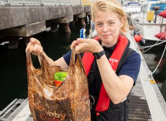Plásticos biodegradáveis não oferecem vantagem sobre os plásticos convencionais na redução da poluição