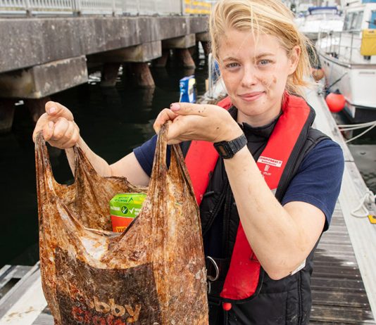 Plásticos biodegradáveis não oferecem vantagem sobre os plásticos convencionais na redução da poluição