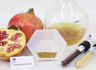 Projeto inovador transforma resíduos alimentares em plástico