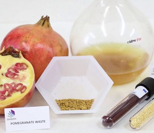 Projeto inovador transforma resíduos alimentares em plástico
