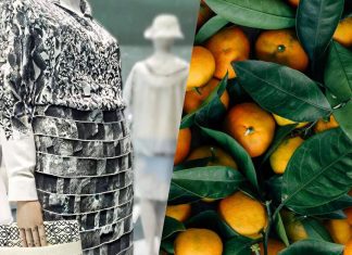 Grã-Bretanha cria centro dedicado a transformar resíduos agrícolas e pós-consumo em têxteis