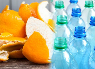 Cascas de laranja viram matéria-prima para garrafas plásticas recicláveis