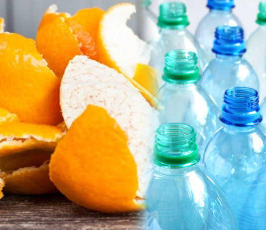 Cascas de laranja viram matéria-prima para garrafas plásticas recicláveis