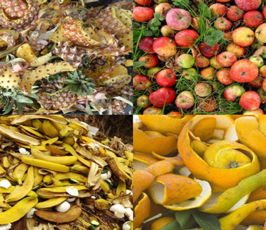 Moda circular: Startup Alt Tex transforma resíduos alimentares em fibras têxtil