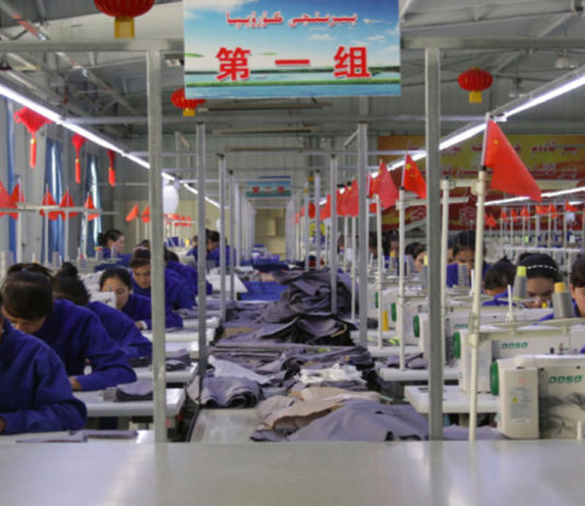 1 em cada 5 roupas de algodão vendidas no mundo contém algodão cultivado com trabalho escravo na China
