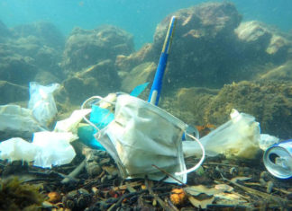 Cerca de 1,56 bilhão de máscaras faciais produzidas em 2020 poluirão os oceanos dizem ambientalistas