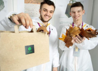 Estudante ucraniano lança iniciativa para transformar folhas de árvores caídas em papel